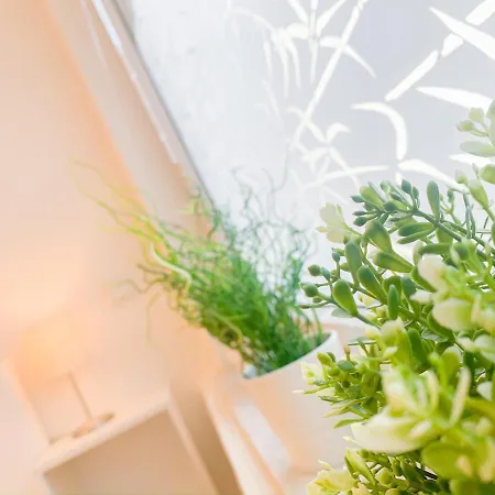 Relax Aachener Boardinghouse Premium 1 Hotel apartamentowy Akwizgran